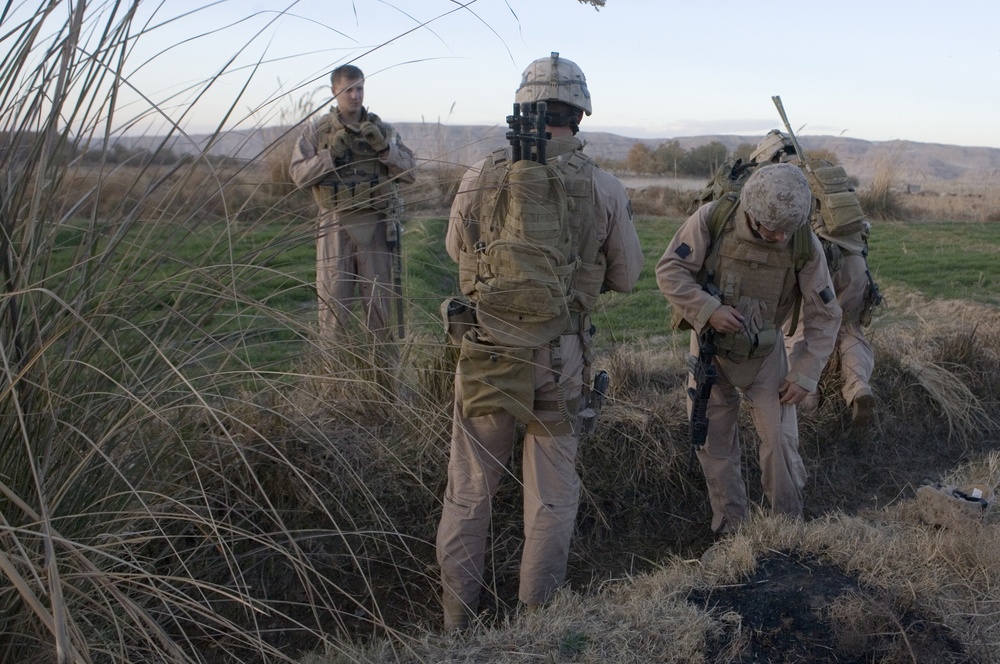 Scout Sniper Platoon Provides Reconnaissance