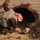 Joint Clearing Operation with Concerned Local Citizens and Iraqi National P Joint Clearing Operation with Concerned Local Citizens and Iraqi National P