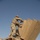 Joint Clearing Operation with Concerned Local Citizens and Iraqi National P Joint Clearing Operation with Concerned Local Citizens and Iraqi National P