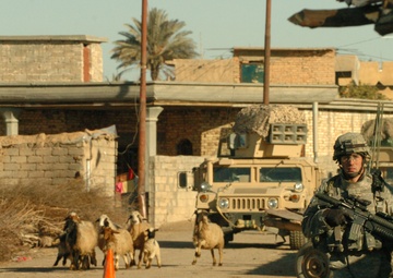 Operation Hood Harvest