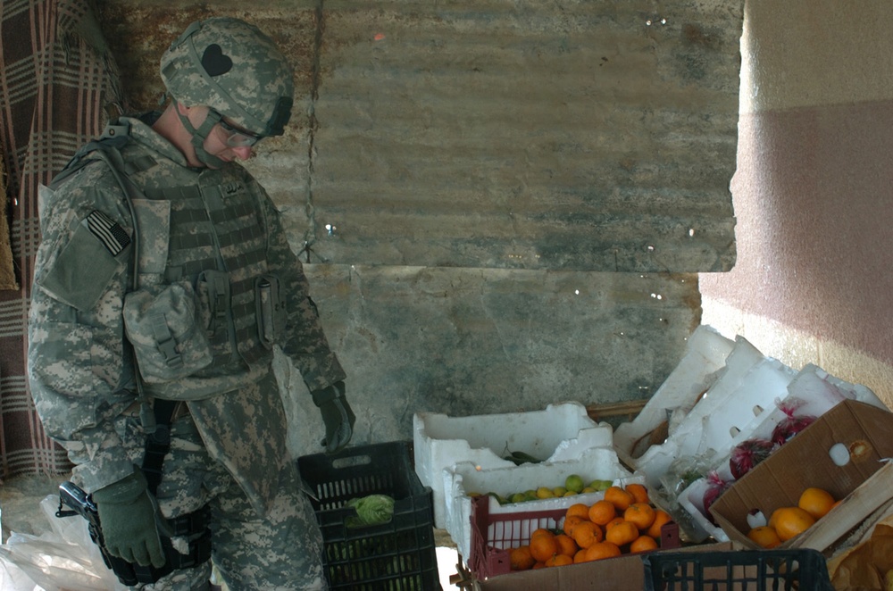 Anthropologist helps Soldiers understand needs of Iraqi people