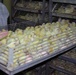 Poultry drives hope: South of Baghdad, Coalition Forces work with poultry g