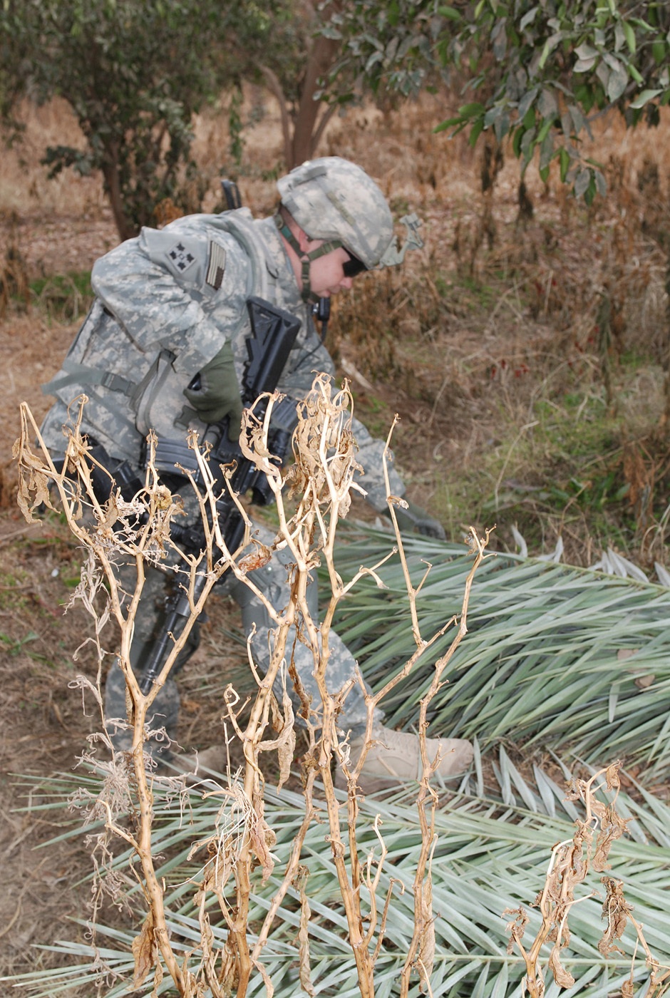 Silver Lions, IA, CLCs show resolve