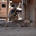 Fighting the insurgency in Mosul