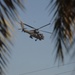 Operation Sparrow Sunrise