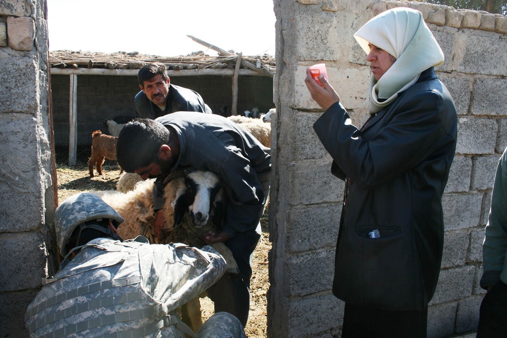 Iraqi Army, Rakkasans organize veterinary visit in Yusufiyah