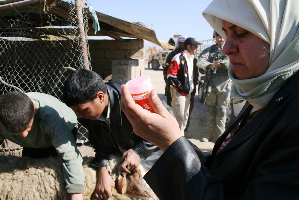 Iraqi Army, Rakkasans organize veterinary visit in Yusufiyah