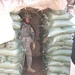 Sunrise missions lead to improvements in al Bawi