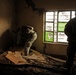 Operation Rock Thrasher Clears Al-Saiyid, Windiyah