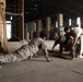 IA Special Mission Platoon