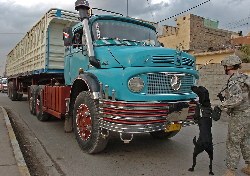 552nd MP's search for explosives in Mosul