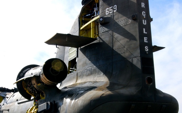 Chinooks still going strong