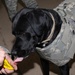 Canine companion keeps 'Mountaineer' spirits high