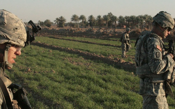 Wolfhounds on patrol