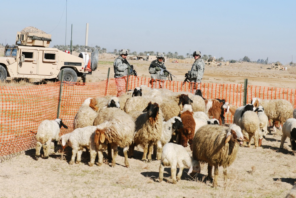 Top Guns Hold Veterinarian Clinic for Iraqi Community