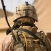 Regimental Combat Team 1's Personnel Security Detachment; sentinels to commanding officer