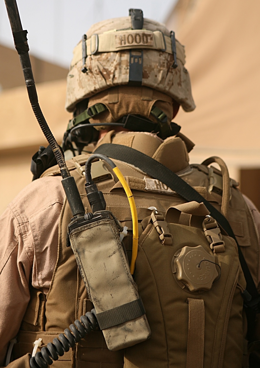 Regimental Combat Team 1's Personnel Security Detachment; sentinels to commanding officer