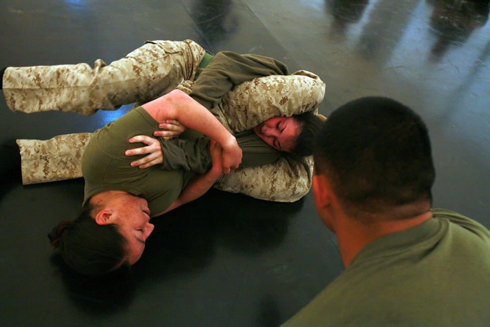 Lioness training