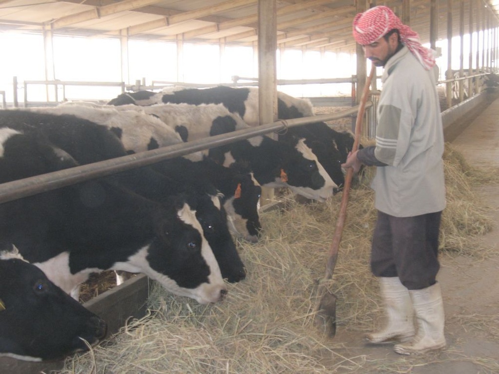 3rd BSTB assesses dairy farm near Wehida