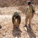 Sons of Iraq in Sabbah Nissan turn in cache