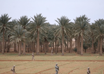 Diamondbacks leave lasting impression in OIF VIII