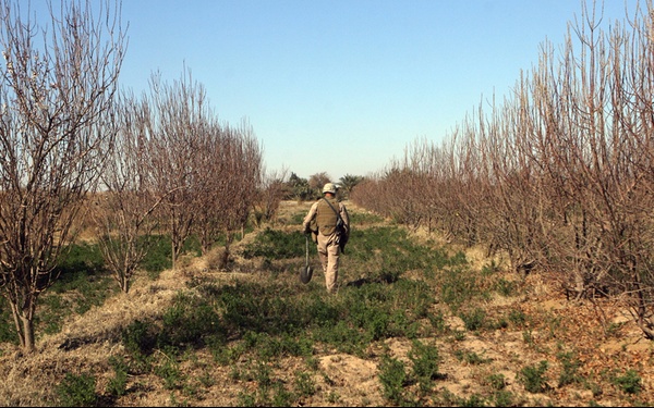 First-ever Iraqi-led operation near Saqlawhiya underway