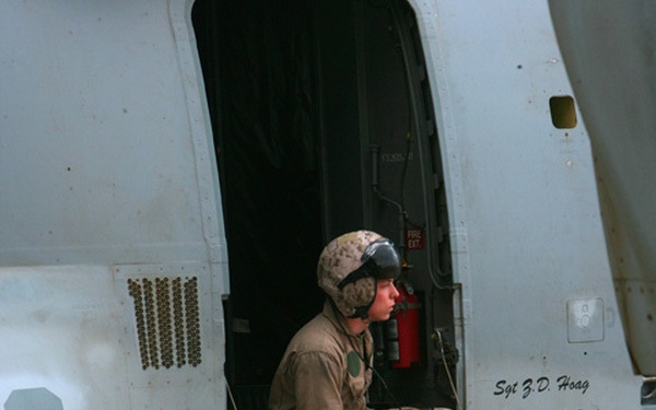 flight line of Al Asad