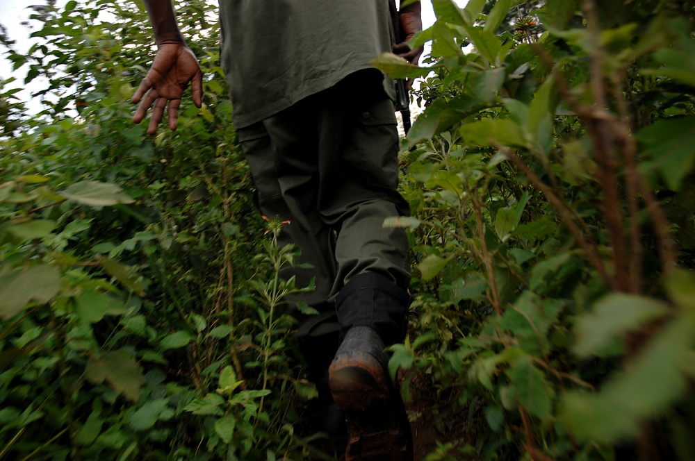 Ugandan Soldiers in Training