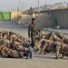 Iraqi Army basic trainees work hard to become soldiers