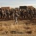 4th Engineers, 2nd Brigade Combat Team, 4th Infantry Division Pave the Way With Route Clearance Training