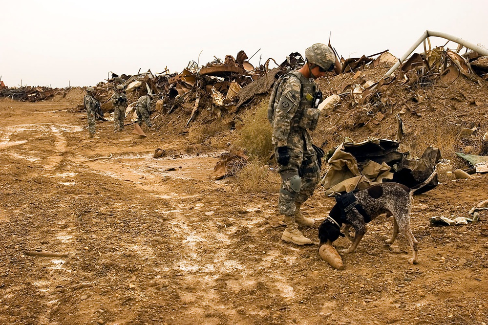 Multi-National Division - Baghdad Troops sweep junkyard for potential munitions