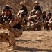 MiTT Training with Iraqi Army