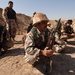 MiTT Training with Iraqi Army