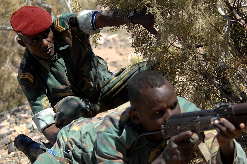 California Joint Task Force - Horn of Africa Missions