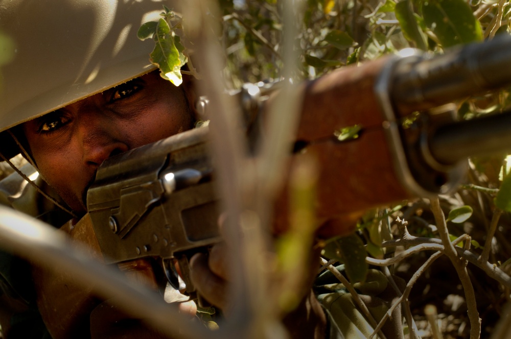 California Joint Task Force - Horn of Africa Missions