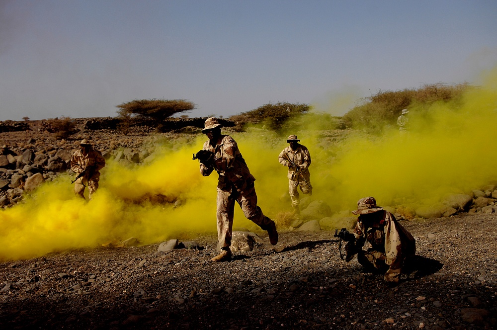 California Joint Task Force - Horn of Africa Missions