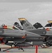 Springfield, Dutch complete first joint deployment