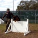 Sailors Train Military Working Dogs