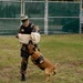 Sailors Train Military Working Dogs