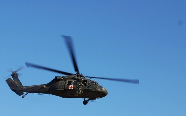 MEDEVAC unit supports fight south of al Hillah