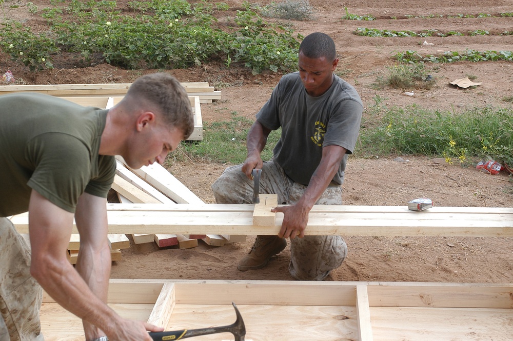 Combat Logistics Battalion-11 in Djibouti