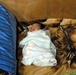 Baby left at doorstep finds new home