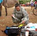 Army Veterinarians: Helping Animals, Helping People