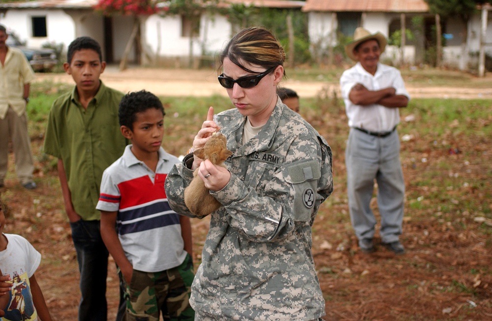 Army Veterinarians: Helping Animals, Helping People