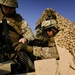 1st Marine Logistics Group, Personal Security Detail