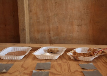 Incident response service members training to keep al-Asad contaminate free