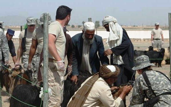 Afghan Veterinarian, Civil Affairs Team Help Ranchers