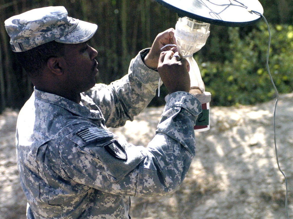 Soldiers combat harmful insects