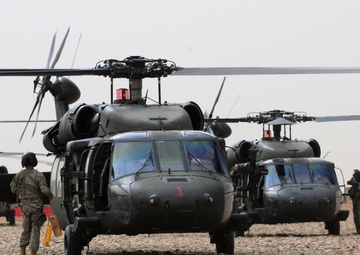 Hand Selected by Task Force Spartan Commander for Exceptional Service, Reserve MP Company Ends Mission in Iraq With Full-scale Air Assault