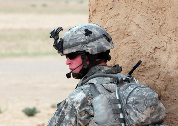 Hand Selected by Task Force Spartan Commander for Exceptional Service, Reserve MP Company Ends Mission in Iraq With Full-scale Air Assault